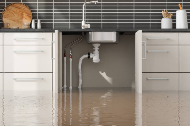 Best Carpet water damage restoration  in Savannah, TX