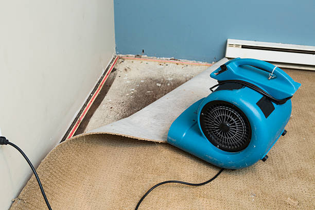 Best Emergency water damage restoration  in Savannah, TX